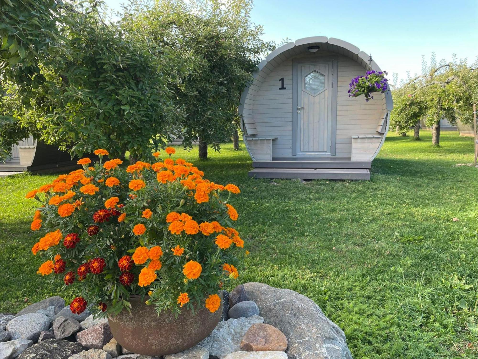 Vetsi Talli Holiday Village Kassari 외부 사진